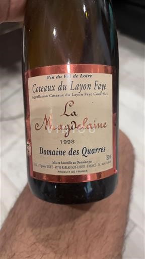 Valle della Loira Non specificato Domaine S Quarres La Magdelaine 1998