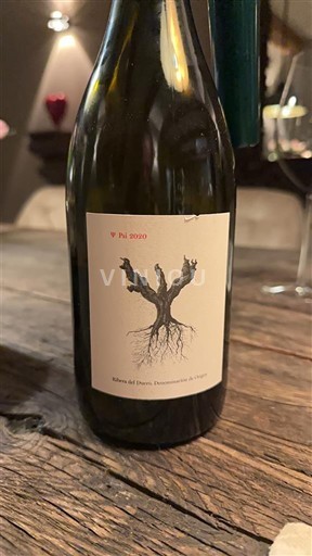 Castille và León Ribera del Duero Dominio de Pingus Psi 2020 2020