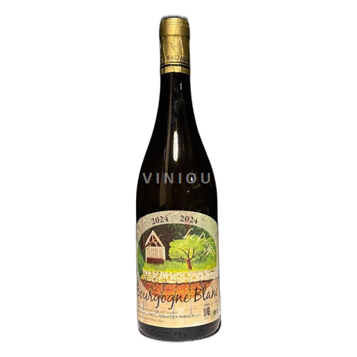 Bourgogne Bourgogne Trắng, Đỏ, Hồng Domaine Paul et Sébastien Pariaud Le Poype 2024