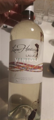 Thung lũng Curicó Thung lũng Curico Laura Hartwig Laluca 2024