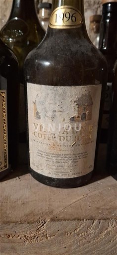 Jura Côtes-du-jura Richard Delay 1996