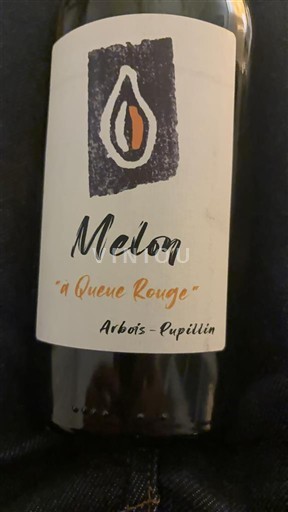 Jura Arbois-Pupillin Kevin Bouillet Melon à queue rouge Không niên vụ