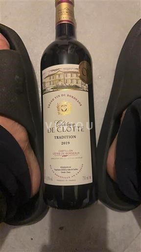 Bordeaux Castillon-côtes-de-bordeaux Château Clotte Tradition 2019