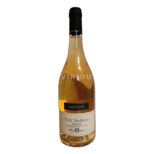 Vallée de la Loire Olivier JARD Odyssée 2017