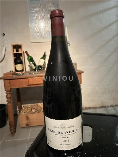 Bourgogne Clos-de-vougeot Grand Cru Domaine Armelle et Bernard Rion 2011