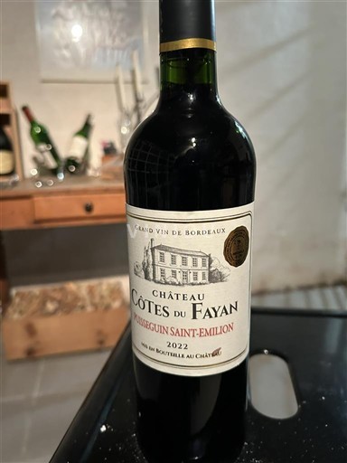 Bordeaux Montagne-saint-émilion Château Côtes du Fayan 2022