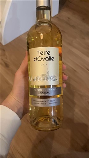 Tây Nam Gaillac Terre d'Ovalie 2024