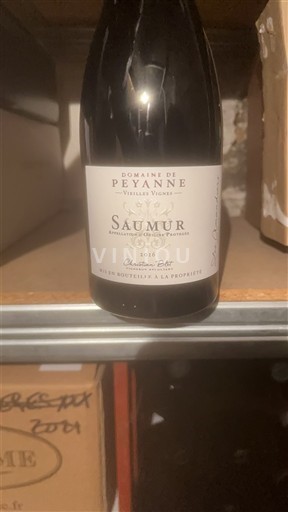 Valle della Loira Saumur Domaine Peyanne Vieilles Vignes 2016