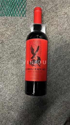 Lisboa Lobo e Falcão 2023