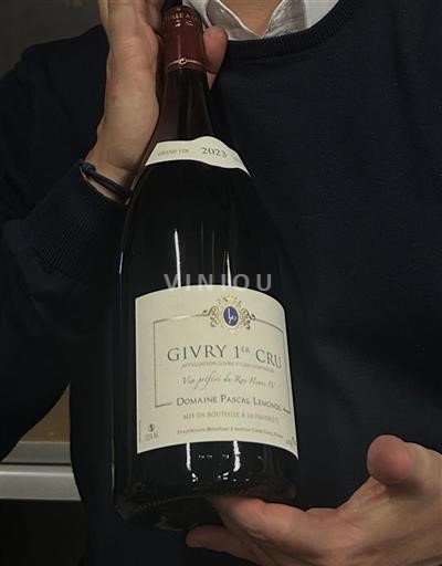 Borgonha Não especificado Premier Cru Domaine Pascal Leduc Vieilles Vignes Les Grands Prétants 2023