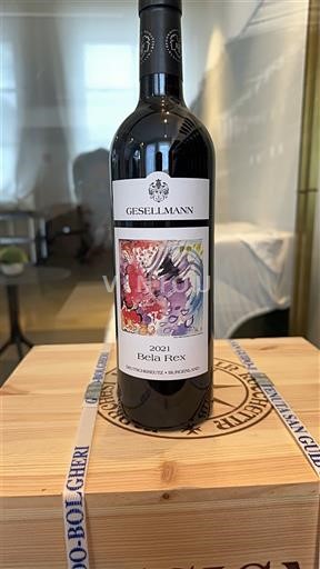 Burgenland Không được chỉ định Gesellmann Bela Rex 2021