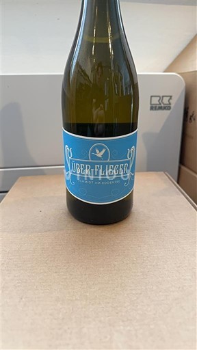 Baden Schmidt am Bodensee Überflieger 2023