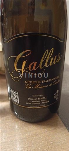 Loirevallei Crémant de Loire Damien Rineau Gallus Niet-geïntegreerd