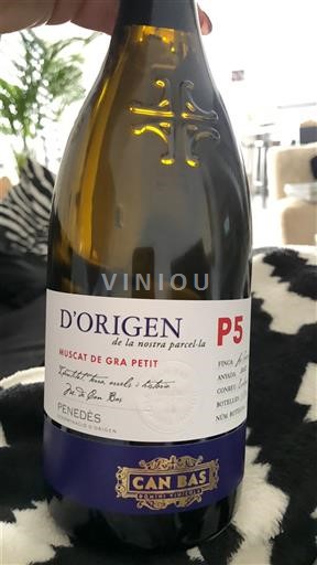 Catalonia Penedès Can Bas D'Origen de la nostra parcel·la P5 2023