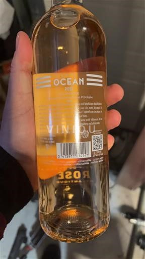 Provenza, bassa valle del Rodano, Corsica Mediterraneo Ocean 2024