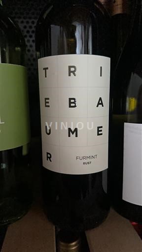 Burgenland Không được chỉ định Triebaumer 2022