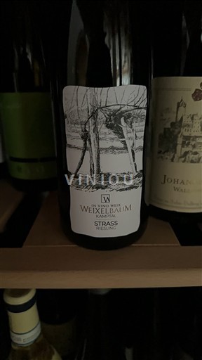 Nederøstrig Kamptal DAC Weixelbaum Strass Riesling 2023