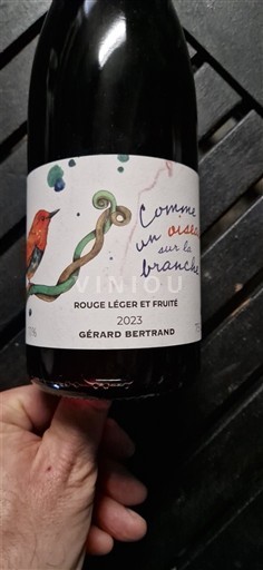 Langvedok Languedoc Gérard Bertrand Comme un oiseau sur la branche 2023