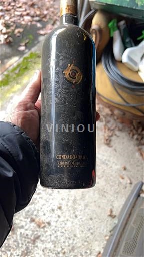 Castilien og León Ribera del Duero Condado de Oriza 2014