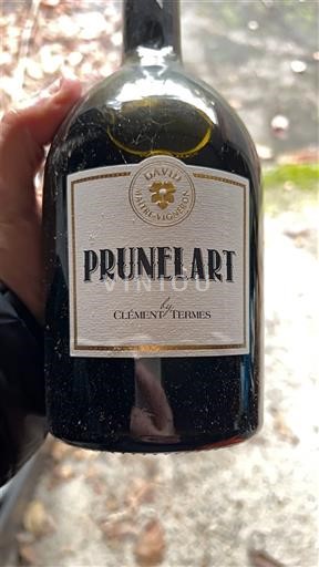 Tây Nam Gaillac Clement Termes Prunelart 2016