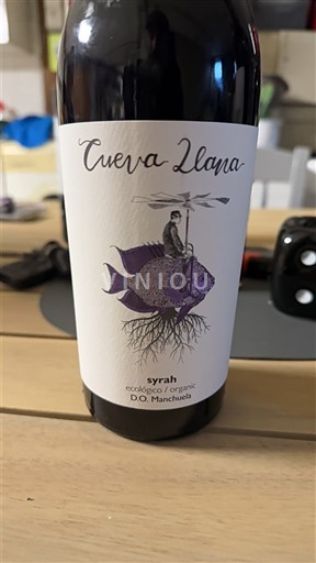 Castilla-La Mancha Manchuela Cueva Llana Không niên vụ