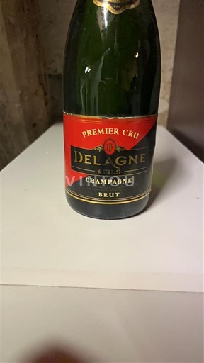 Champaña Champán Premier Cru Delagne & Fils Sin añada