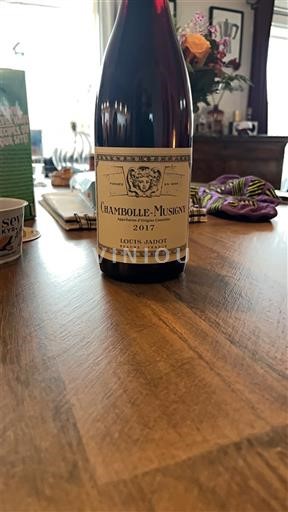 Bourgondië Chambolle-Musigny Louis Jadot 2017