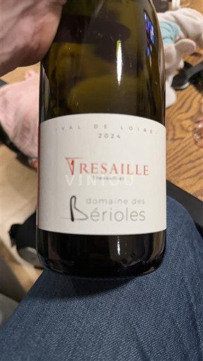 Valle della Loira Saint-Pourçain Domaine S Bérioles Vresaille 2024