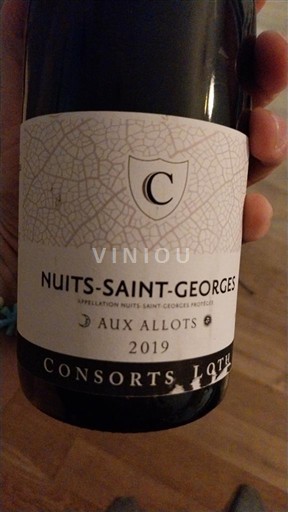 Bourgogne Nuits-saint-georges Consorts Loth Aux Allots 2019