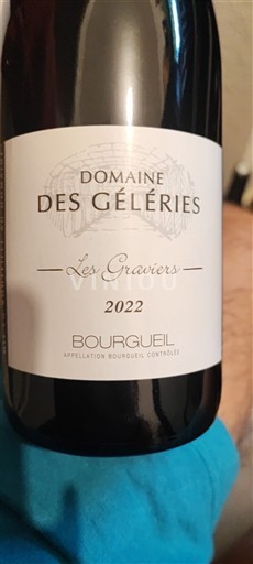 Valle del Loira Bourgueil Domaine des Géleries Les Graviers 2022