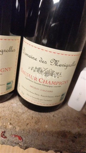 Loirevallei Saumur-champigny Domaine S Marigrolles 2024