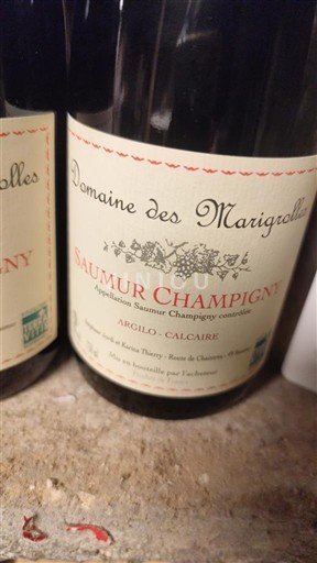 Loirevallei Saumur-champigny Domaine S Marigrolles 2023