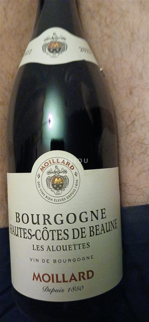Burgundi Beaunen Ylämaat Moillard Les Alouettes Ei vuosikertaa
