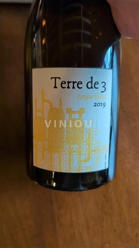 Alsace Pinot blanc Terre de 3 2019