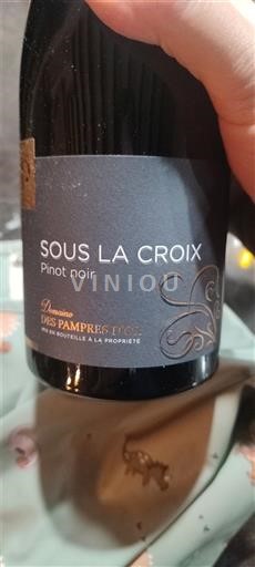 Beaujolais Domaine S Pampres d'Or Sous La Croix 2023