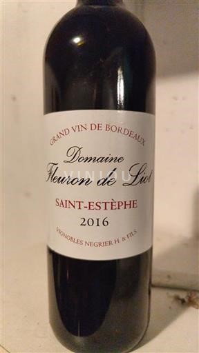 Bordéus Saint-Estèphe Domaine Fleuron de Liot 2016