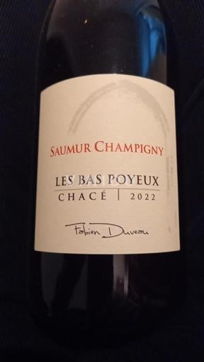 Valle della Loira Saumur-Champigny Fabien Duveau Les Bas Poyeux 2022