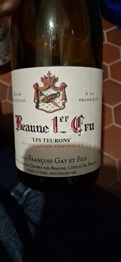 Bourgogne Không được chỉ định Premier Cru François Gay et Fils Les Teurons 2020