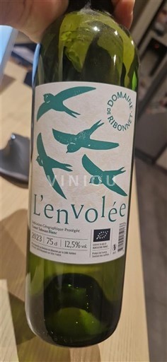 Sudoeste Côtes de Gascogne Domaine Brinbonnet L'envolée 2023