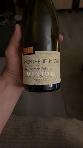 Bourgogne Không được chỉ định Premier Cru Domaine Boussey Les Champs Fulliots 2020