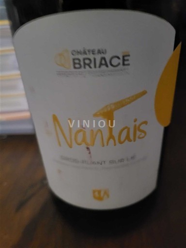 Valle della Loira Muscadet Sèvre et Maine Château Briacé Nantais Senza annata