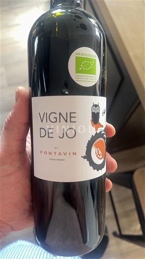 Thung lũng Rhône Không được chỉ định Domaine Fontavin Vigne de Jo Không niên vụ