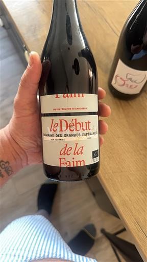 Valle della Loira Touraine Domaine S Grandes Espérances Le Début de la Faim 2020