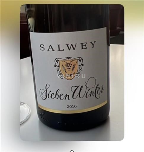 Baden Salwey Sieben Winter 2016