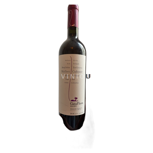 Salta Valles Calchaquíes Bodega Vasija Secreta 2018 2018