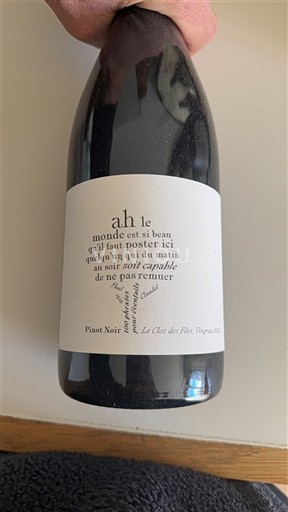 Linguadoca e Rossiglione Côtes catalanes Le Clos des Fées Vieilles Vignes 2021