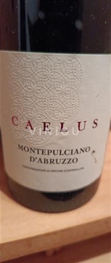 Abruci Montepulciano d'Abruzzo Caelus 2020
