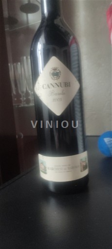 Piedmont Wines Barolo Marchesi di Barolo Cannubi 2005