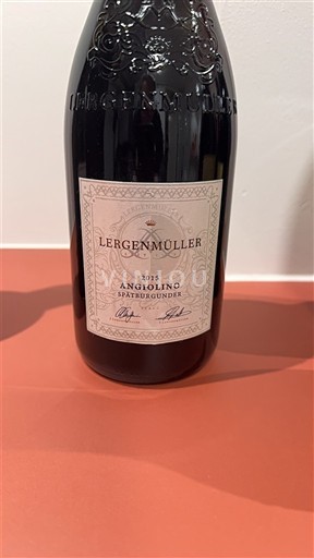 Pfalz Lergenmüller Angiolino 2015
