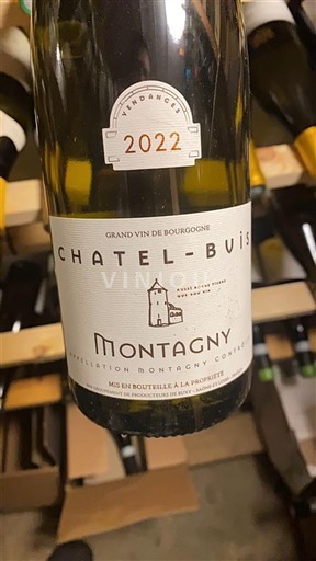 Burgundija Монтани Premier Cru Chatel-Buis 2022